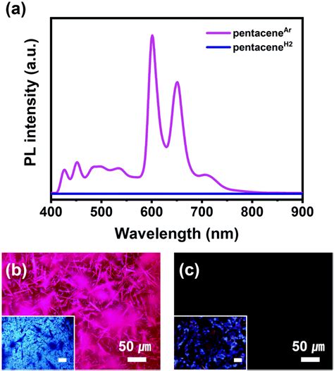 Highly pure pentacene crystals grown by physical vapor transport: the ...