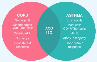 Differences, similarities and controversies between bronchial asthma ...