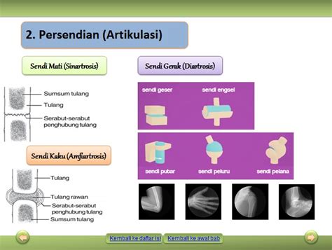 Detail Animasi Listrik Statis Ppt Koleksi Nomer 31