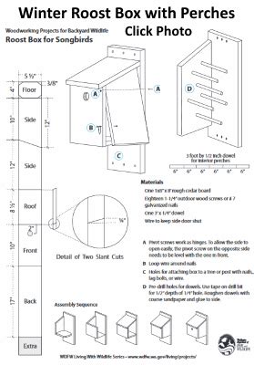 Easy Winter Bird House Plans | Winter Roost Box