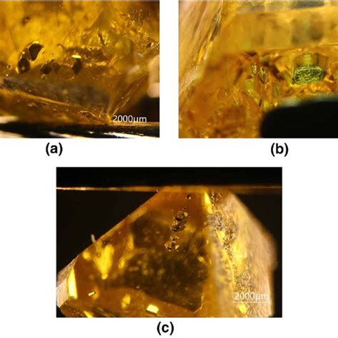 (a) Carbon inclusions and (b) inclusions with metallic clusters of ...