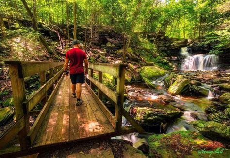 Five Great Central PA Hikes to do This Season - Experience Columbia-Montour Counties