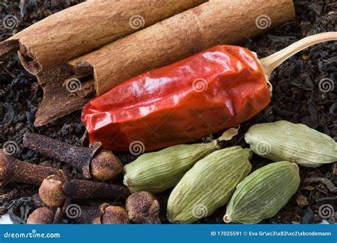 Spices for Chai Tea stock image. Image of ingredient - 17025591