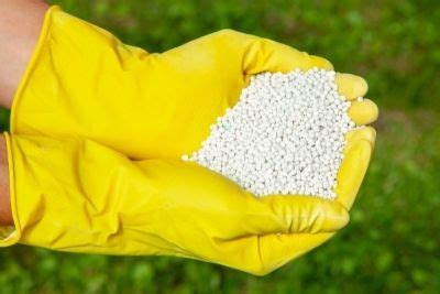 When To Use 14-14-14 Fertilizer? | How To Use Triple 14