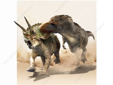 Tyrannosaurus rex hunting, illustration - Stock Image - C056/0091 - Science Photo Library