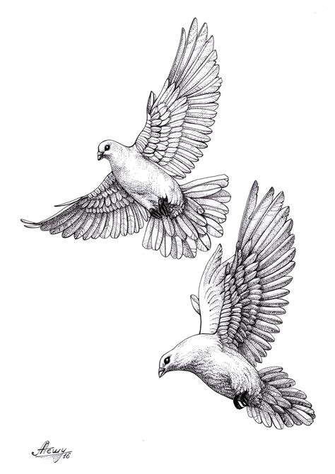 #dove#pigeon#sketch | Dove tattoos, Dove drawing, Dove tattoo design