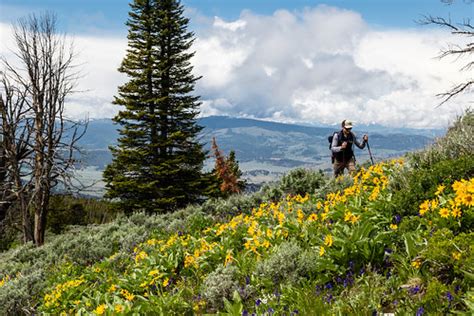 Summer hiking in Lamar Valley (5) | NPS / Jacob W. Frank | Yellowstone National Park | Flickr