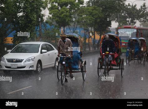 Rickshaw pullers make their way during rainfall in Dhaka, Bangladesh on ...