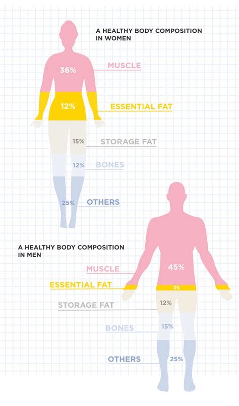 Body Composition - Health Insights | Withings