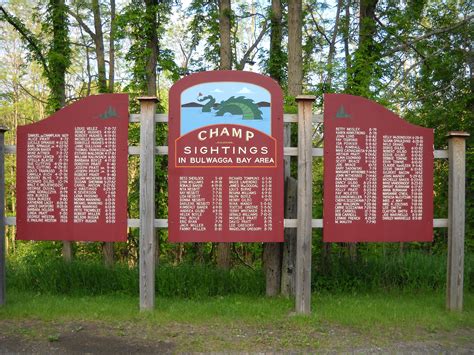 Champ sightings in Lake Champlain! | Lake champlain, Lake, Region