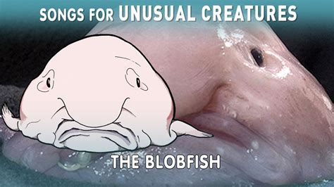 The Incredible True Story of the Blobfish - YouTube