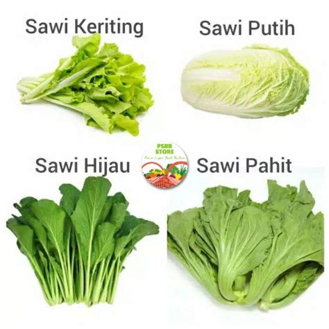 Jual Sayur Sawi Putih / Sawi Hijau / Sawi Pahit / Caisim / Sawi Keriting - Per Pack | Shopee ...