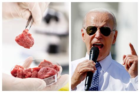 Biden Backs Lab-Grown Meat - Newsweek