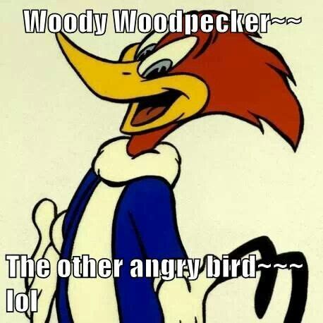 Funny Woodpecker Quotes - ShortQuotes.cc