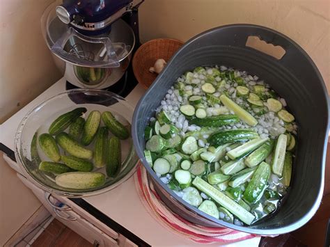 Local farmer had a deal on pickling cukes.... 22# for $10. : r/Canning