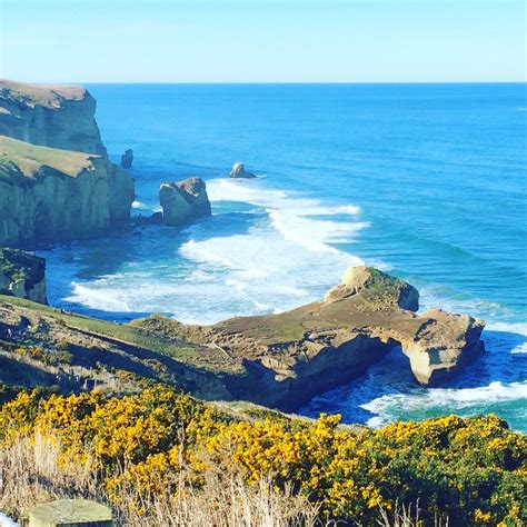 Tunnel Beach, Dunedin, New Zealand | Dunedin new zealand, Dunedin ...