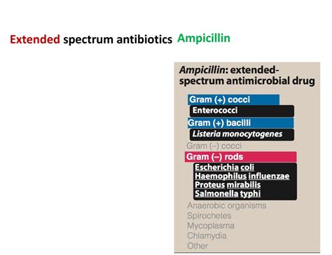 Principles of Anti-Microbial Therapy Assistant Professor Dr. Naza M ...