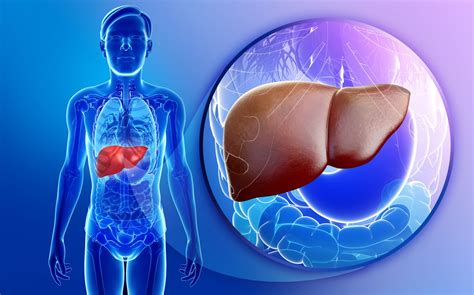 Hepatic Hemangioma: Signs, Symptoms & Treatments