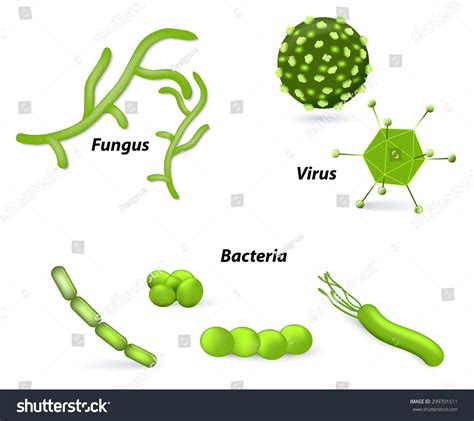 552 Virus Bacteria Fungus Parasite Images, Stock Photos & Vectors | Shutterstock