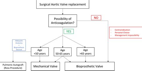 Biological Surgical Options in Young Patients for the Treatment of ...