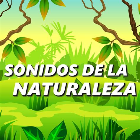 Sonidos Naturaleza - song and lyrics by Naturaleza Sonidos | Spotify