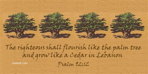 Cedar of Lebanon in the Bible - Psalm 92:12 | Psalm 92, Psalms, Cedar