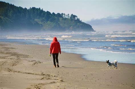 15 Best Beaches in Washington State | PlanetWare