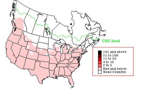 Cooper's Hawk - Winter Range Map