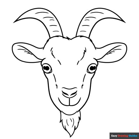 Goat Face Coloring Page | Easy Drawing Guides