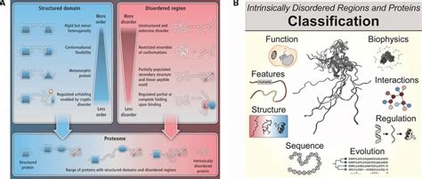 IDRs are fundamental units of protein function, regulation and... | Download Scientific Diagram