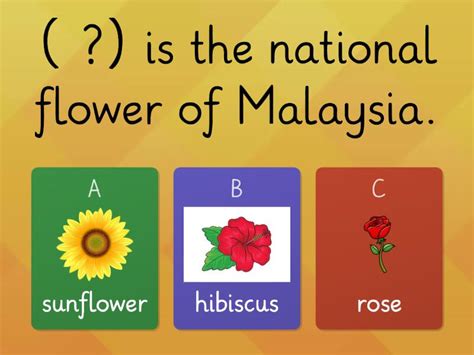 National flower of Malaysia - Quiz