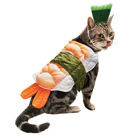 7 Hilarious Cat Costumes for Halloween - Petswelcome.com