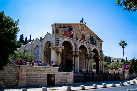 Gethsemane and Mount of Olives: places of the Passion | Pro Terra Sancta