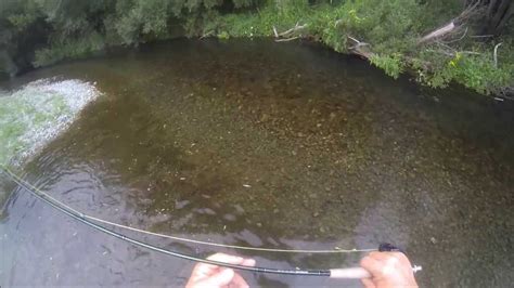 Christchurch fly fishing guides. Trout and Salmon Fishing in Canterbury New Zealand - YouTube