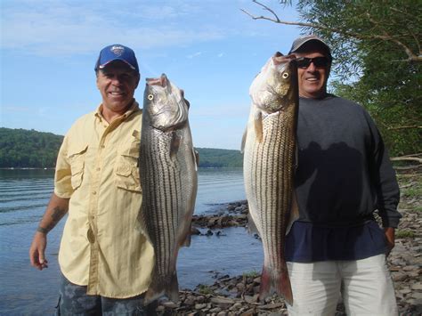 Lake Wallenpaupack “Summer Stripers” « Legends Outdoors | Lake ...