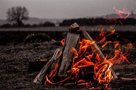 HD wallpaper: brown bonfire on gray field, bone fire, campfire, flame ...