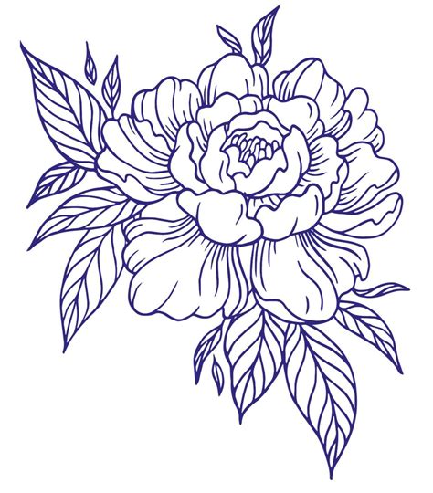 Flower Line Drawings, Flower Sketches, Outline Drawings, Tattoo Design ...