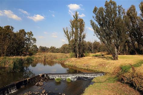 Modderfontein Reserve | Parks, Sports & Outdoors | Johannesburg