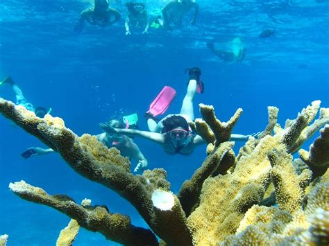 Cozumel Snorkeling Tours | Best Snorkeling in Cozumel 30%OFF