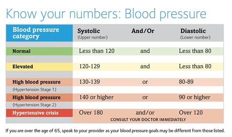 What Is the Normal Blood Pressure Range in Adults? Diastole vs. Systole