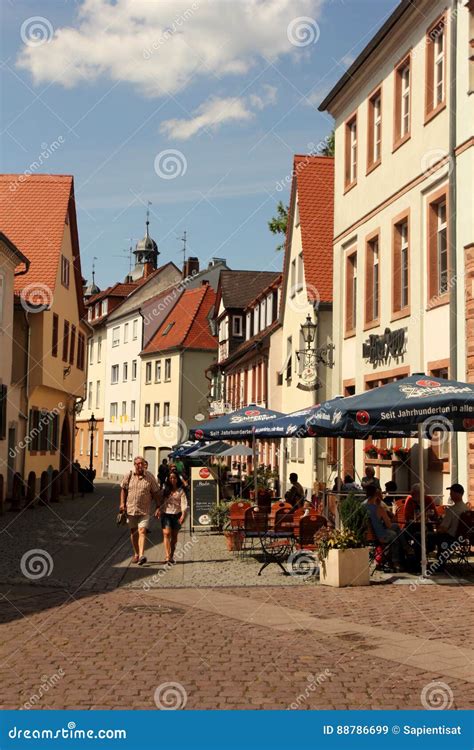 Aschaffenburg, Germany editorial stock image. Image of flowering - 88786699