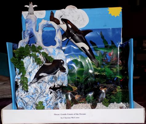 5th Grade Habitat Project. Orcas. Killer Whales. School Time, School ...