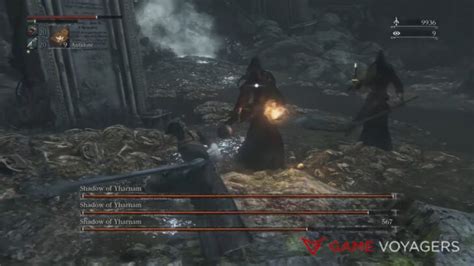 How To Beat The Shadow of Yharnam in Bloodborne - Game Voyagers