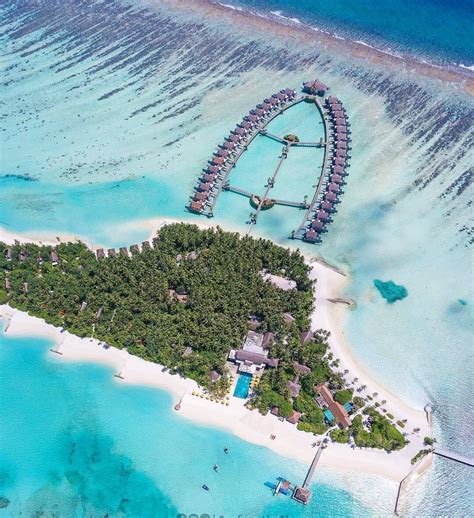 Niyama Private Islands #Maldives Visit Maldives, Maldives Travel ...