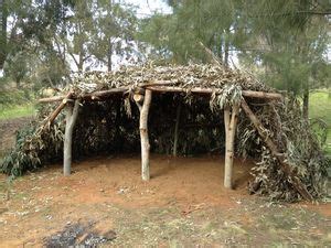 Traditional Australian shelter | Australian aboriginal history, Aboriginal history, Australian ...