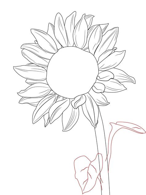 20+ Sunflower Drawing Ideas For Beginners | HARUNMUDAK