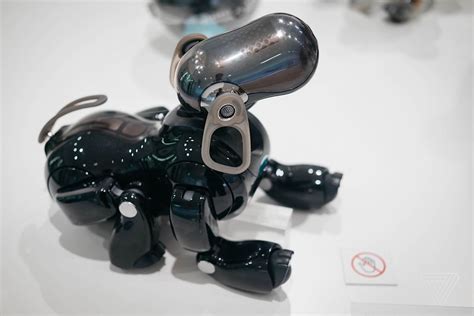 Sony reportedly announcing new robot dog next month – TODAY WILL ...