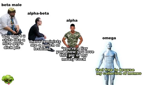 alpha Meaning & Origin | Slang by Dictionary.com