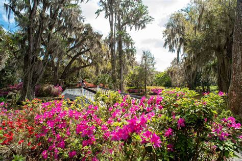 Magnolia Plantation & Gardens in Charleston, SC