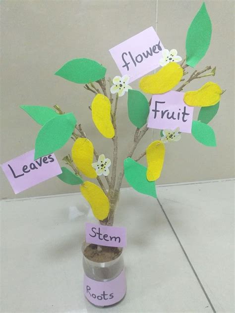 Science activity in 2024 | Plants science project, Plant activities ...